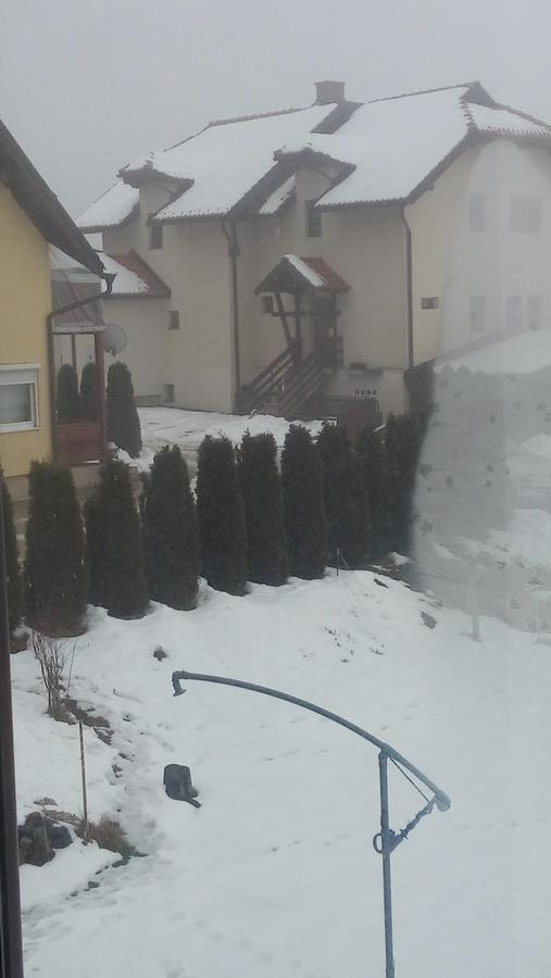 Apartman Selakovic Zlatibor Buitenkant foto