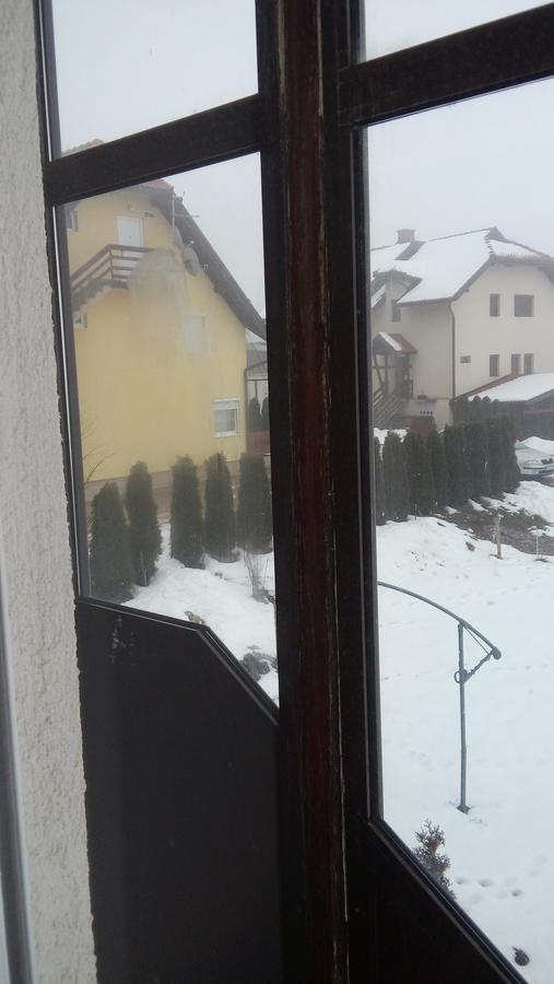 Apartman Selakovic Zlatibor Buitenkant foto