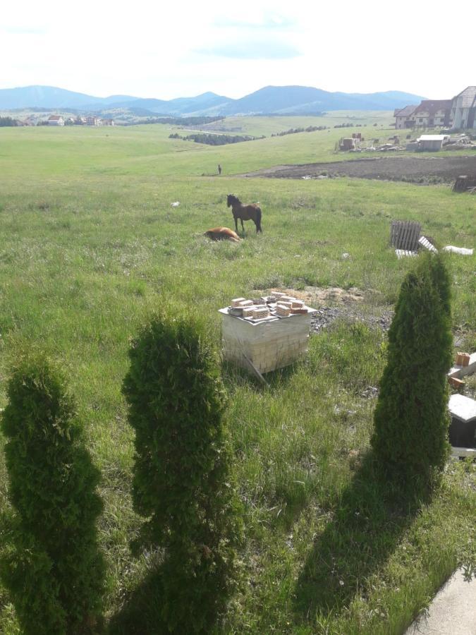 Apartman Selakovic Zlatibor Buitenkant foto